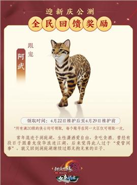 怎么让天龙八部私服
